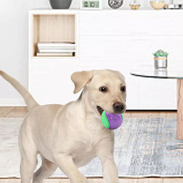 Top-Quality Products for Pet Lovers and Their Companions