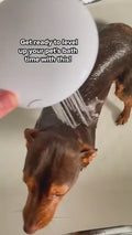 1.mp4